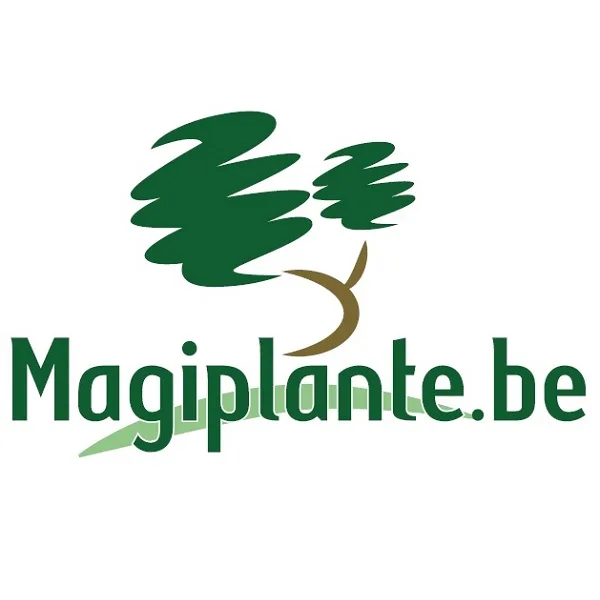Magiplante